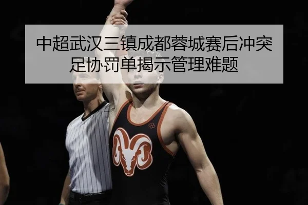 中超武汉三镇成都蓉城赛后冲突 足协罚单揭示管理难题