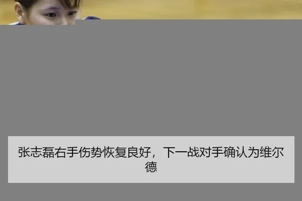 张志磊右手伤势恢复良好，下一战对手确认为维尔德